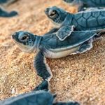 Profile Picture of Mario Edgar (@mario.edgar.274) on Instagram