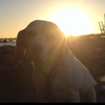 Profile Picture of Joel Riley (@joel.riley.716) on Instagram