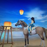 Profile Picture of Connie Richards-Barker (@starstable_horses101) on Instagram