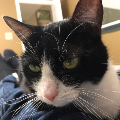 Nick Lantz - Twitter Profile Picture of Nick Lantz (@NickJLantz) on Twitter