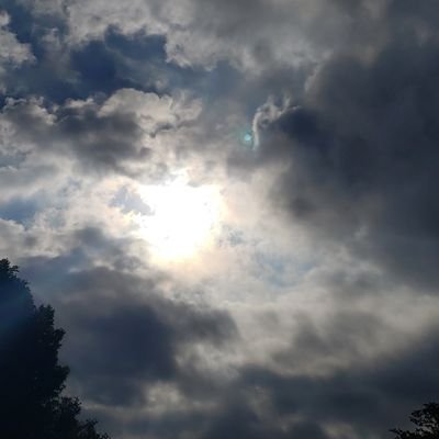 Profile Picture of David Yahved Alicade El Shaddai Hashim (@Dtmaximus) on Twitter