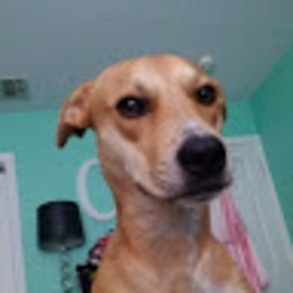 Profile Picture of Catherine Brellis (@c_brellis) on Poshmark