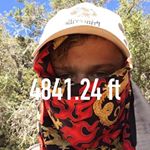 Profile Picture of Andrew The Forest (@andrewtheforest) on Instagram