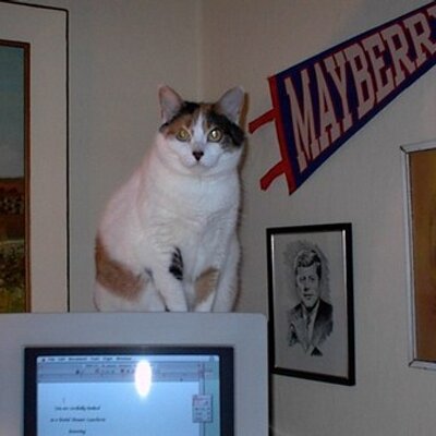 Profile Picture of Robert Fodor (@fourdoor_2041) on Twitter