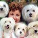 Profile Picture of Fran Schultz (@fran.schultz.9026) on Facebook