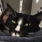 Profile Picture of Ethan DeVries (@luelagoon) on Instagram