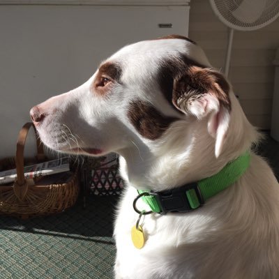 Profile Picture of Gil Searcy (@gilsearcy) on Twitter