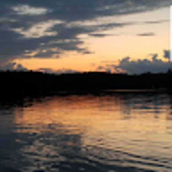 Profile Picture of Brad Sherman (@bsherm20) on Poshmark