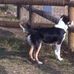 Profile Picture of Doug Nettleton (@doug.nettleton.3) on Facebook