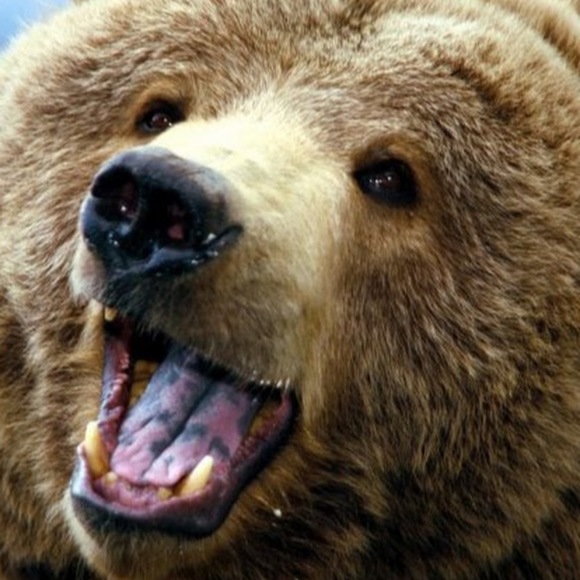 Profile Picture of Jake Mahoney (@mahoneyjjacob) on Poshmark