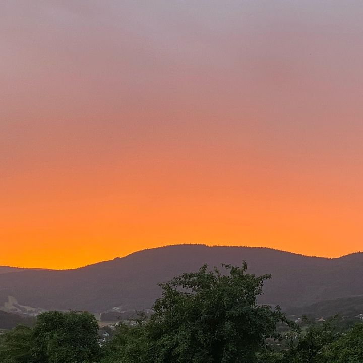 Robert Atzinger - Tiktok Profile Picture of Robert Atzinger (@robertatzinger) on Tiktok