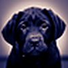 Profile Picture of Chuck Hayes (@hipbrain) on Flickr