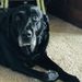Profile Picture of Cecelia Hansen (@25cehansen) on Pinterest