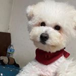 Profile Picture of kim_cotton_plant (@kim_cotton_plant) on Instagram