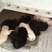 Profile Picture of Scott-Heather Ryder (@scott-heatherryder8225) on Youtube