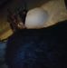 Profile Picture of Isaiah Cochran (@isaiah.cochran.169) on Facebook