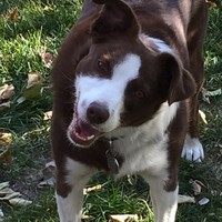 Penny Lucas - Quora Profile Picture of Penny Lucas (@penny-lucas-8) on Quora