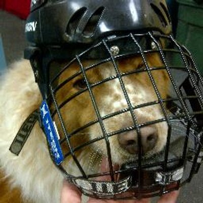 Profile Picture of Steve Longchamp (@stevelongchamp) on Twitter