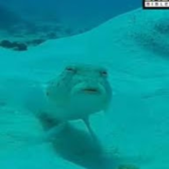 Profile Picture of Jacob Roberson (@jacobroberso609) on Poshmark