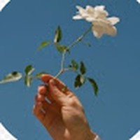 Profile Picture of Kylie Singleton (@kylie-singleton-5) on Quora