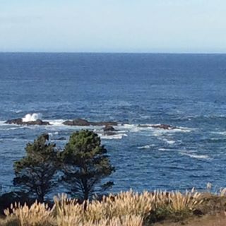 Profile Picture of Lauretta Kester (@Lauretta-Kester) on Facebook