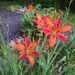 Profile Picture of Phillip Decker (@philkdecker80) on Pinterest