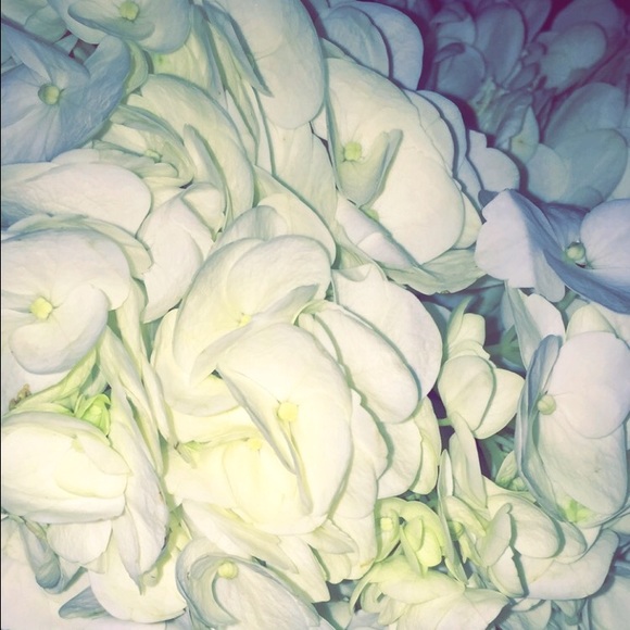 Profile Picture of Becca Iaccarino (@beccaa4) on Poshmark