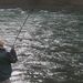 Profile Picture of Forrest Howe (@forresthowe) on Pinterest
