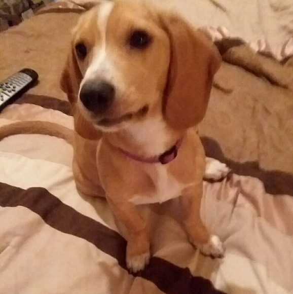 Profile Picture of Pam Ketchens (@pamketchens) on Poshmark