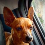 Profile Picture of Derik Rupert Jones (@derikrupert) on Instagram