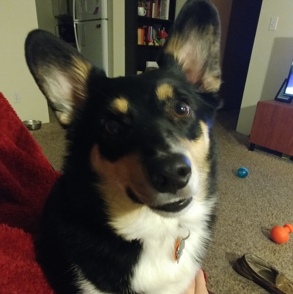 Profile Picture of Tyler Crume (@tylercrume) on Poshmark