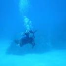 Profile Picture of Chris Crippen (@cmcrippen) on Pinterest