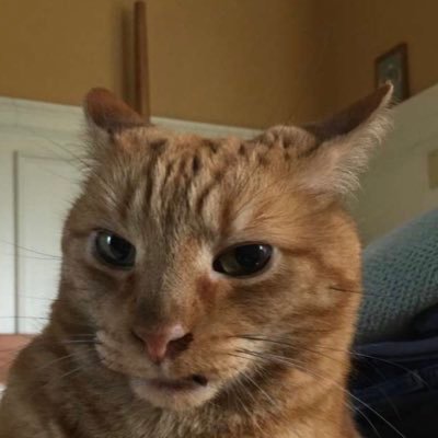Profile Picture of James C. (@JamesCrumm) on Twitter