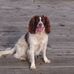 Profile Picture of Millie Springer (@millie.springer.16) on Facebook