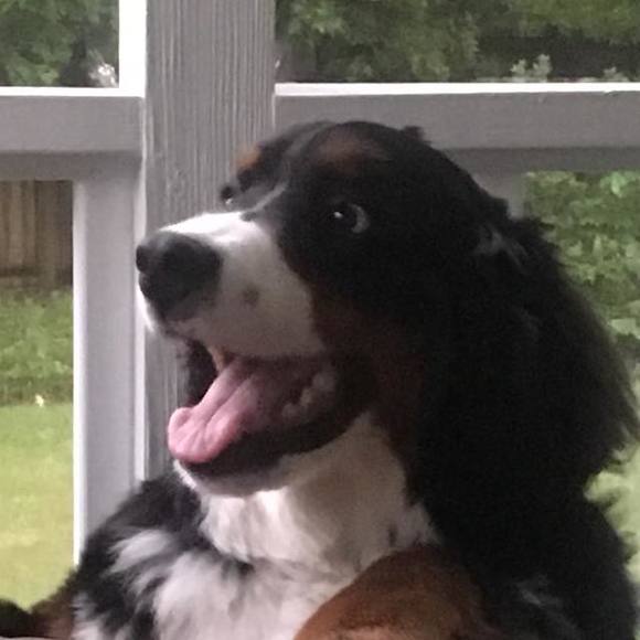 Profile Picture of Shelley Geiman (@shellgeiman) on Poshmark