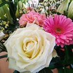 Profile Picture of Anne chevrier (@chevrier_anne) on Instagram