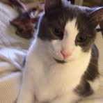 Profile Picture of Glenna Etherton (@glenna.etherton.5) on Facebook