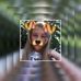 Profile Picture of Helena Michalski (@helena.michalski.501) on Facebook