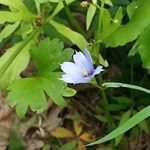 Profile Picture of Luigi Gaudio (@luigi.gaudio.311) on Instagram