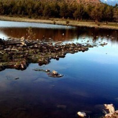 Profile Picture of Steven Swope (@SwopeSteven) on Twitter