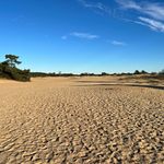 Profile Picture of Robert van Overbeek (@overbeek32) on Instagram