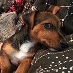 Profile Picture of Kenny Bowen (@kenny24307) on Instagram