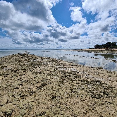 GUILLEMINAULT Hélène - Twitter Profile Picture of GUILLEMINAULT Hélène (@GuilleminaultH) on Twitter