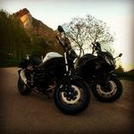 Profile Picture of Peter Wohlschlager (@peter.wolf714) on Instagram