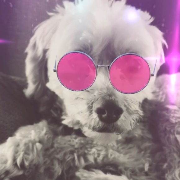 Profile Picture of Tori Murphy (@torimurphy9) on Poshmark