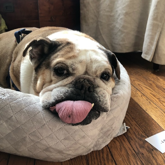 Profile Picture of Drew Kawalek (@druzy328) on Poshmark