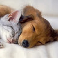 Profile Picture of David Bywater (@david-bywater-5) on Quora