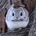 Profile Picture of Josh Newport (@squeegee7) on Instagram