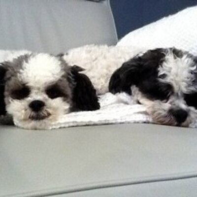 Profile Picture of Juanita Redekopp (@juanitaredekopp) on Twitter