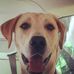 Profile Picture of James Shoubridge (Shoubridge) (@james.shoubridge.5) on Facebook